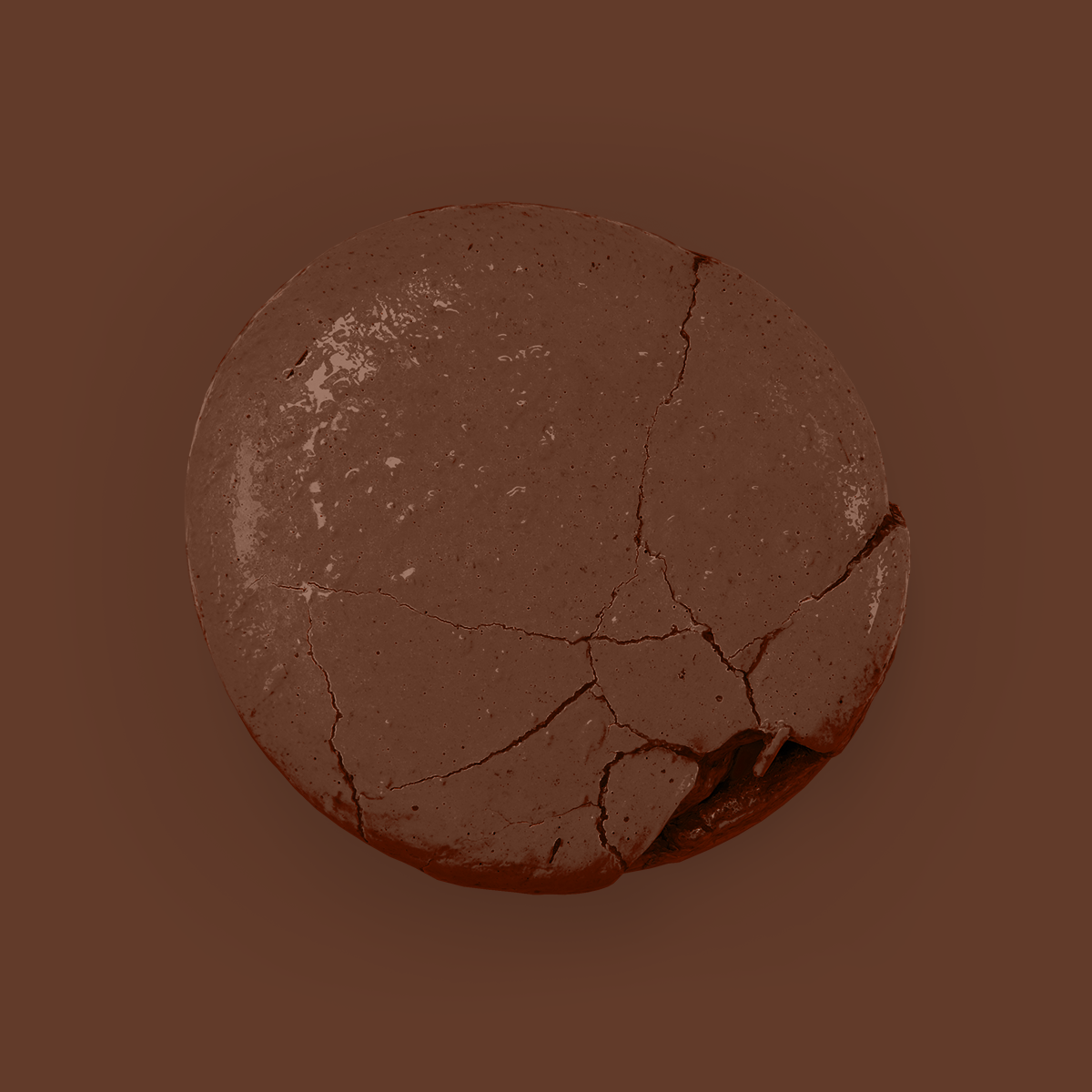 Chocolate - Aqua Blend