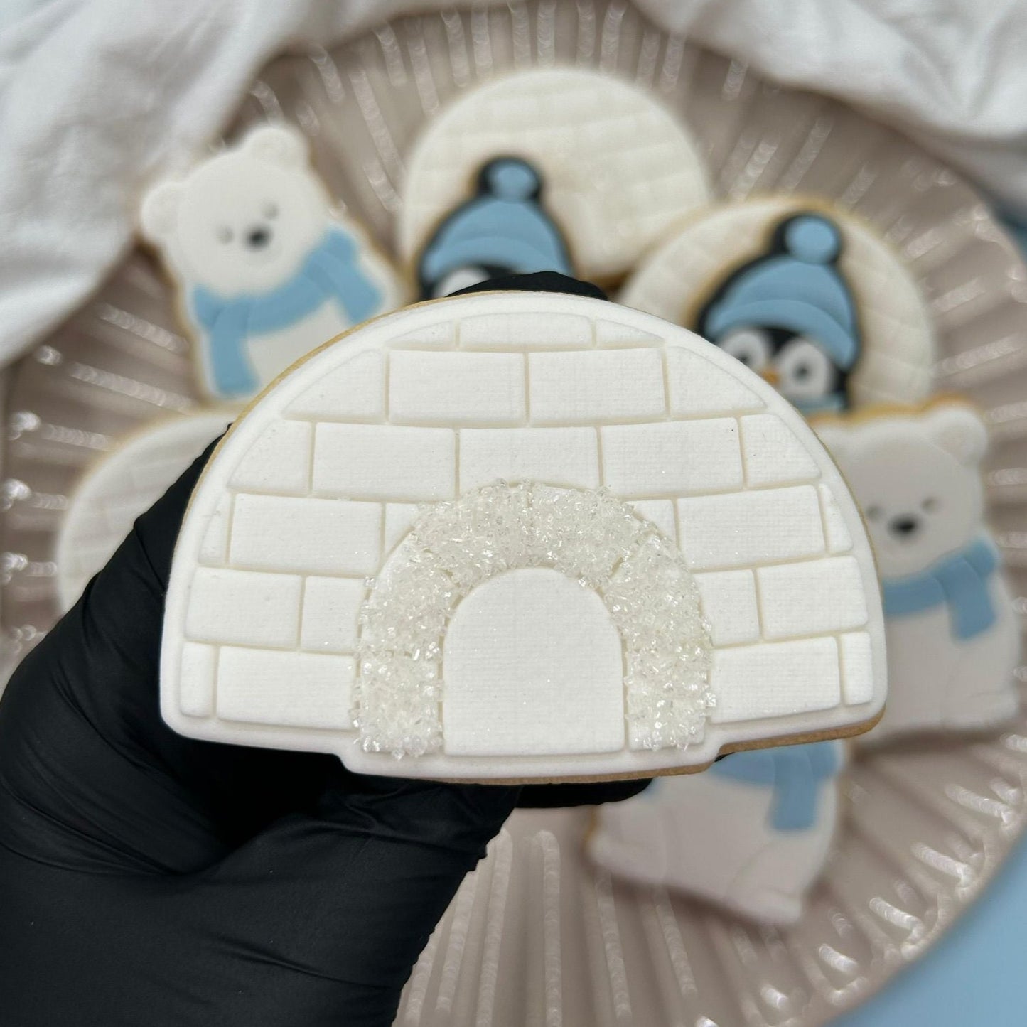 Igloo
