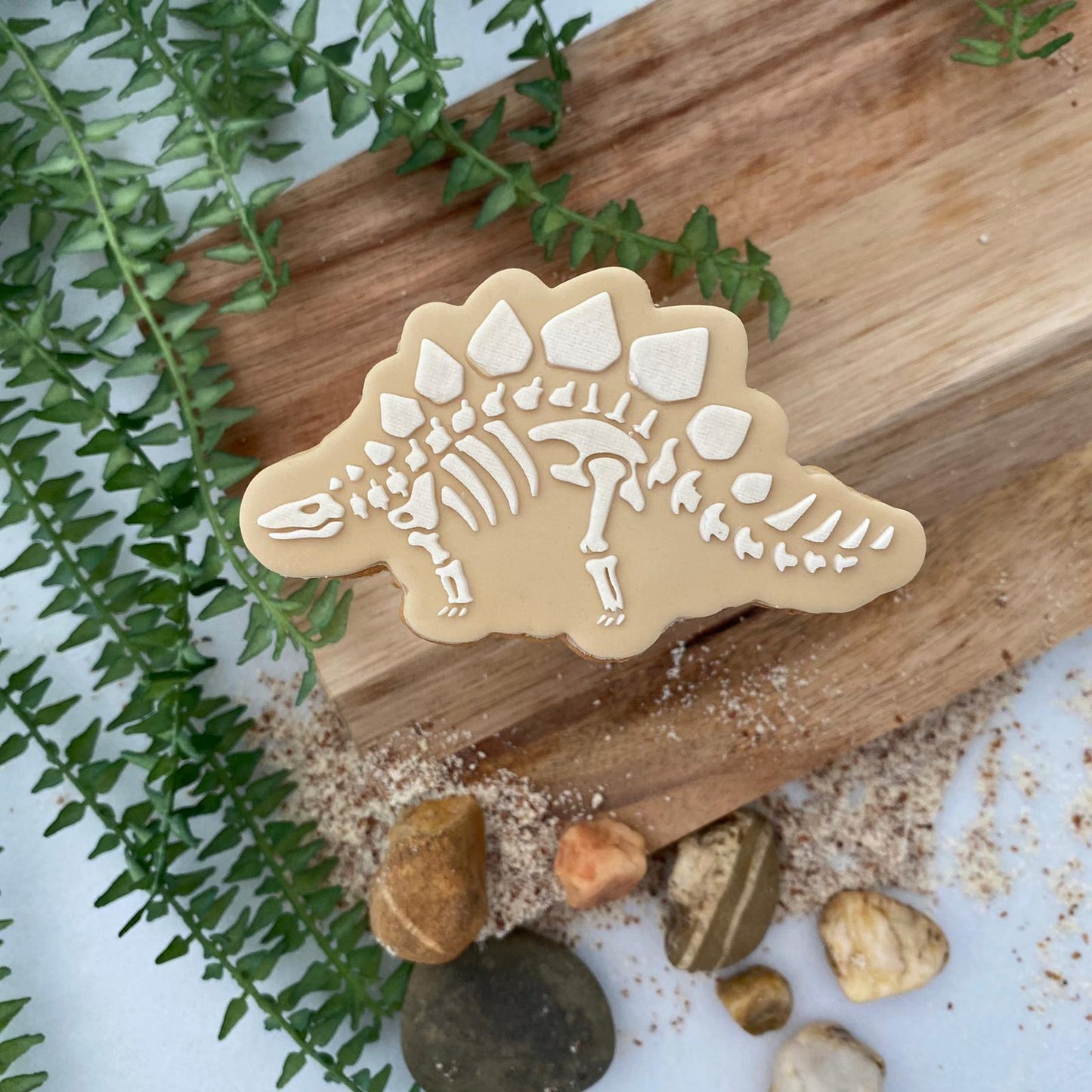 Dino #03 - Stégosaurus Squelettique