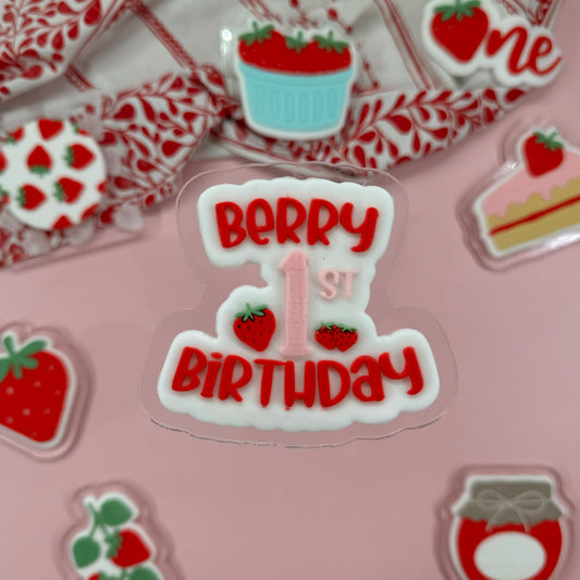 #05 - Berry's 1st Birthday