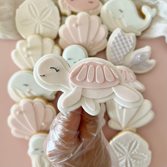 #21 - Tortue