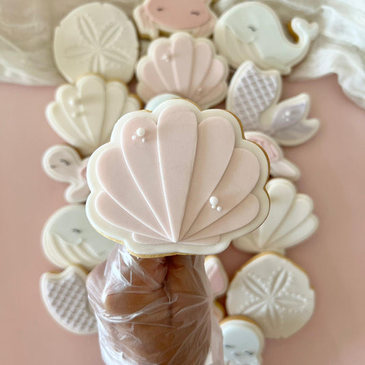 #24 - Coquillage