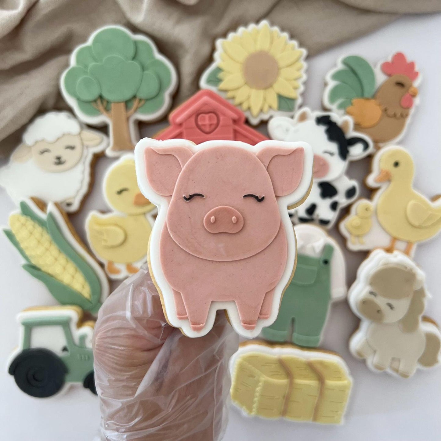 Cochon