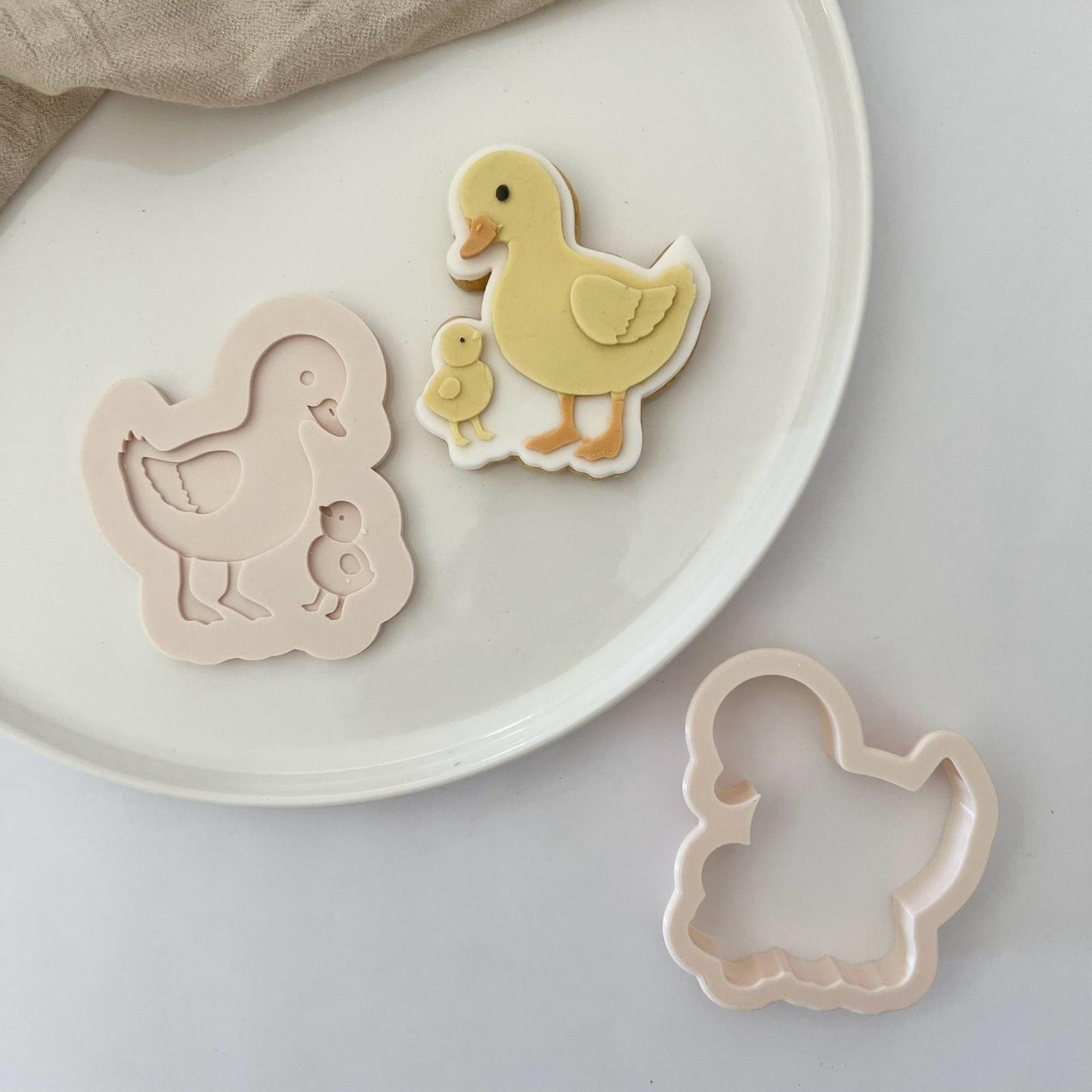 Canard et son bébé