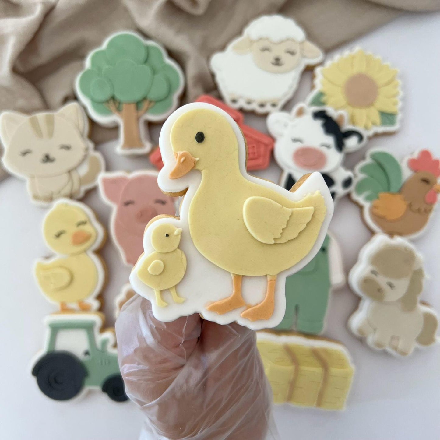 Canard et son bébé