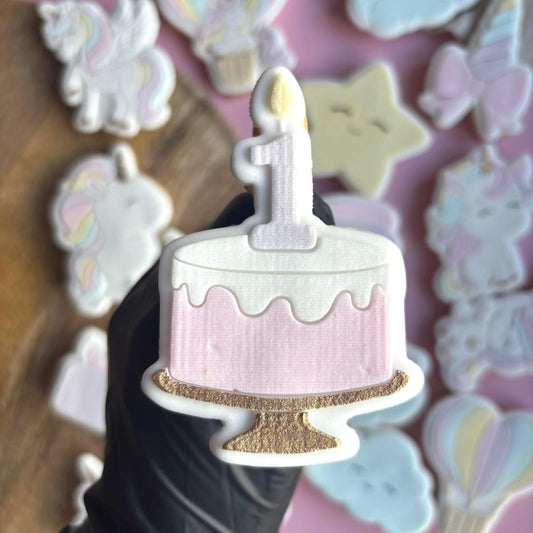 #19 - 1 year old cake