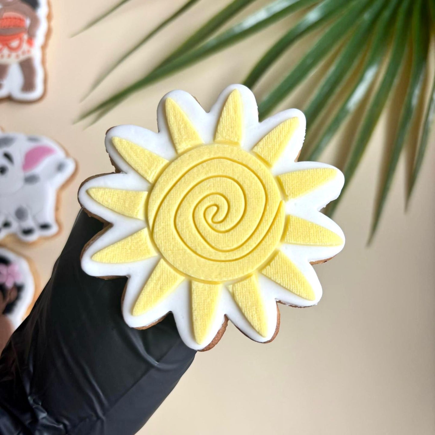 #13 - Soleil