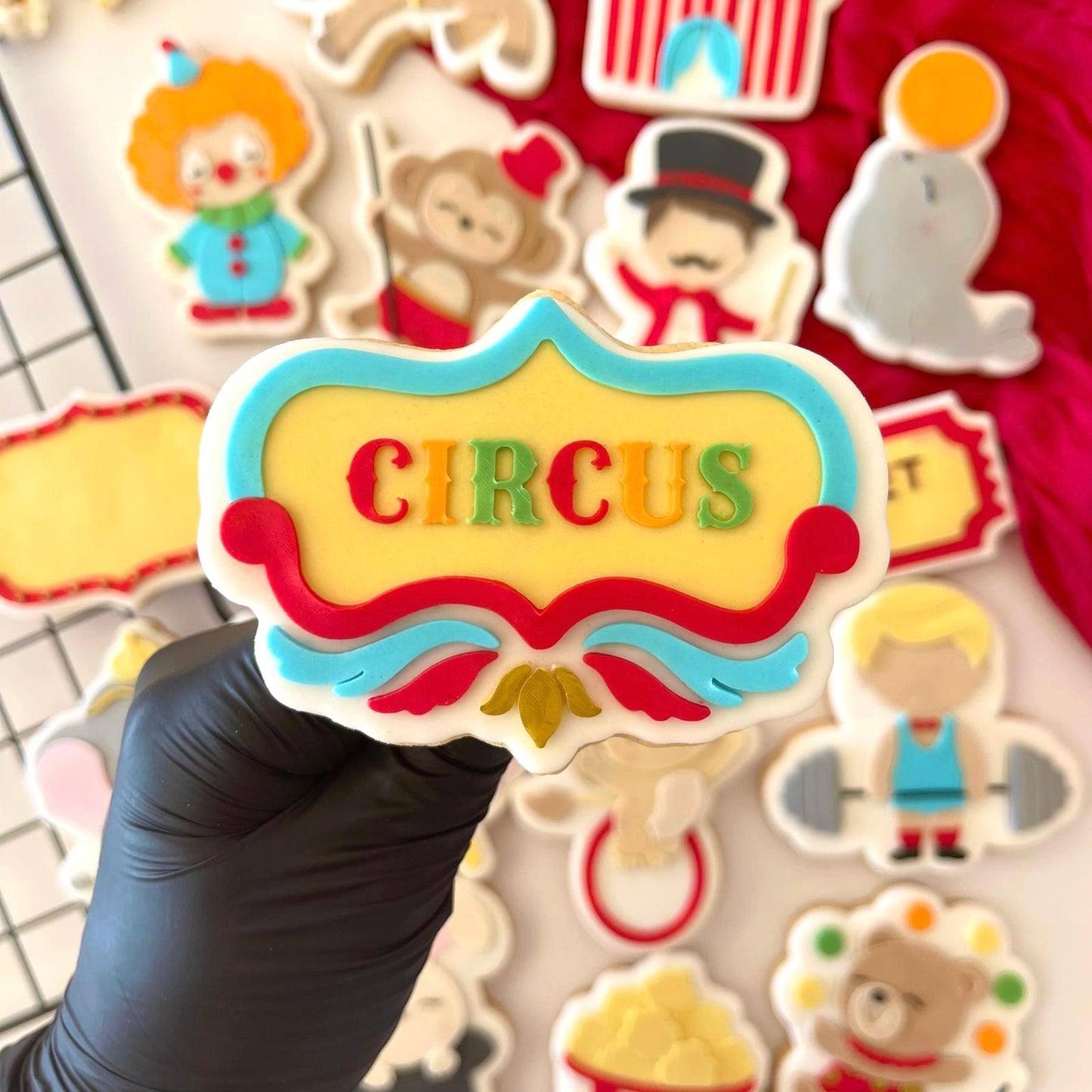 #30 - Circus