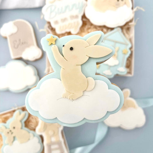 #05 - Lapin tenant une étoile