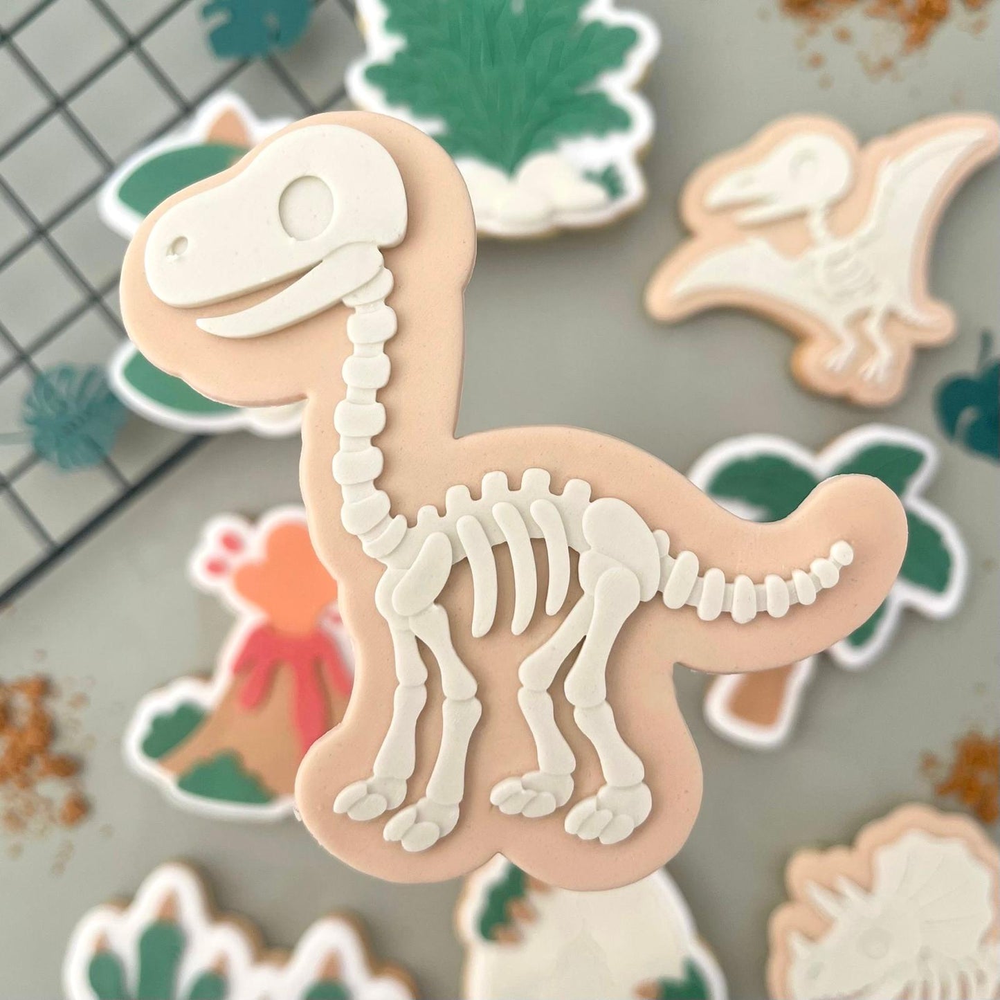 #41 - Dino v2