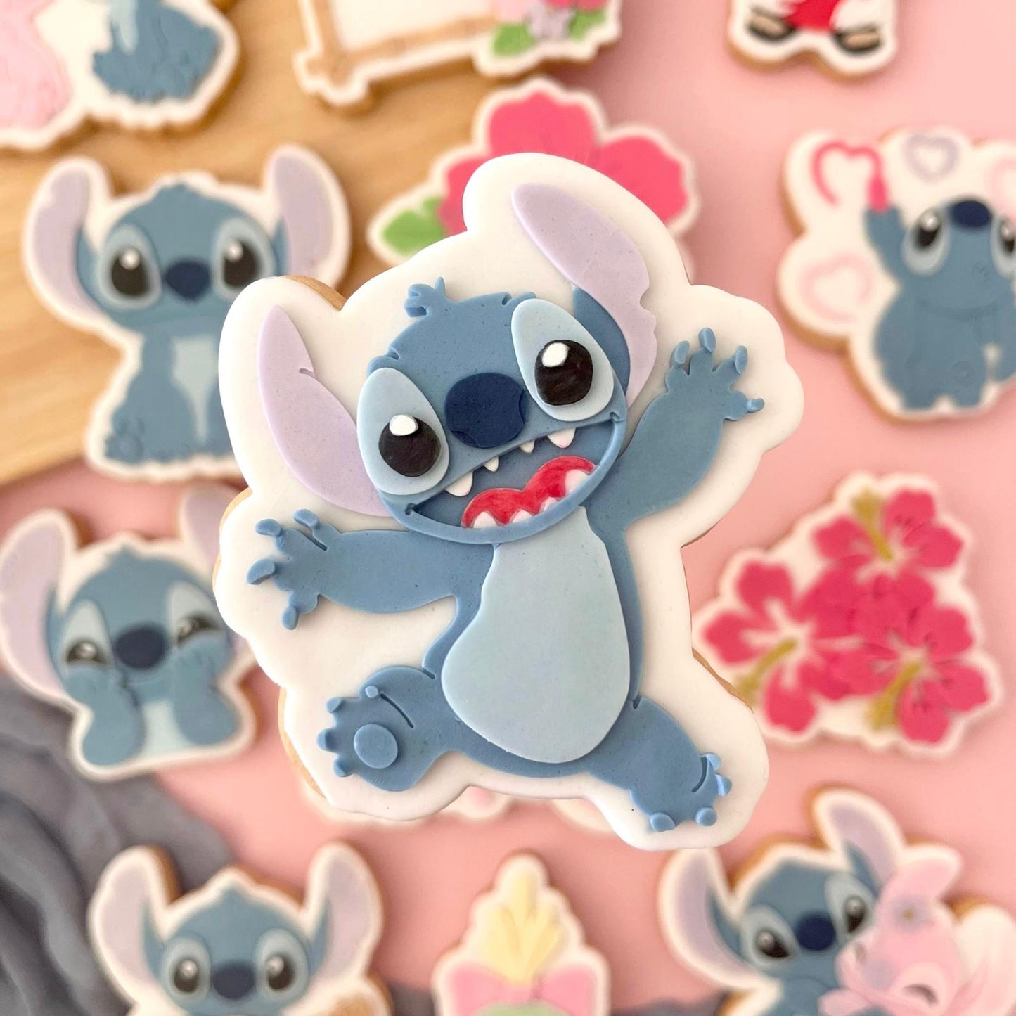 #23 - Stitch