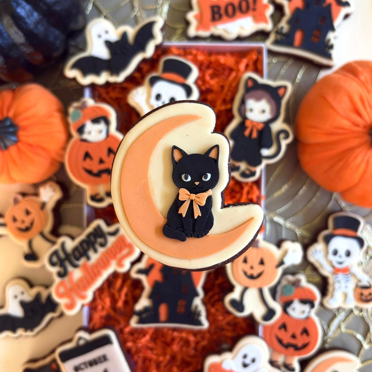 #3112 - Chat avec Lune
