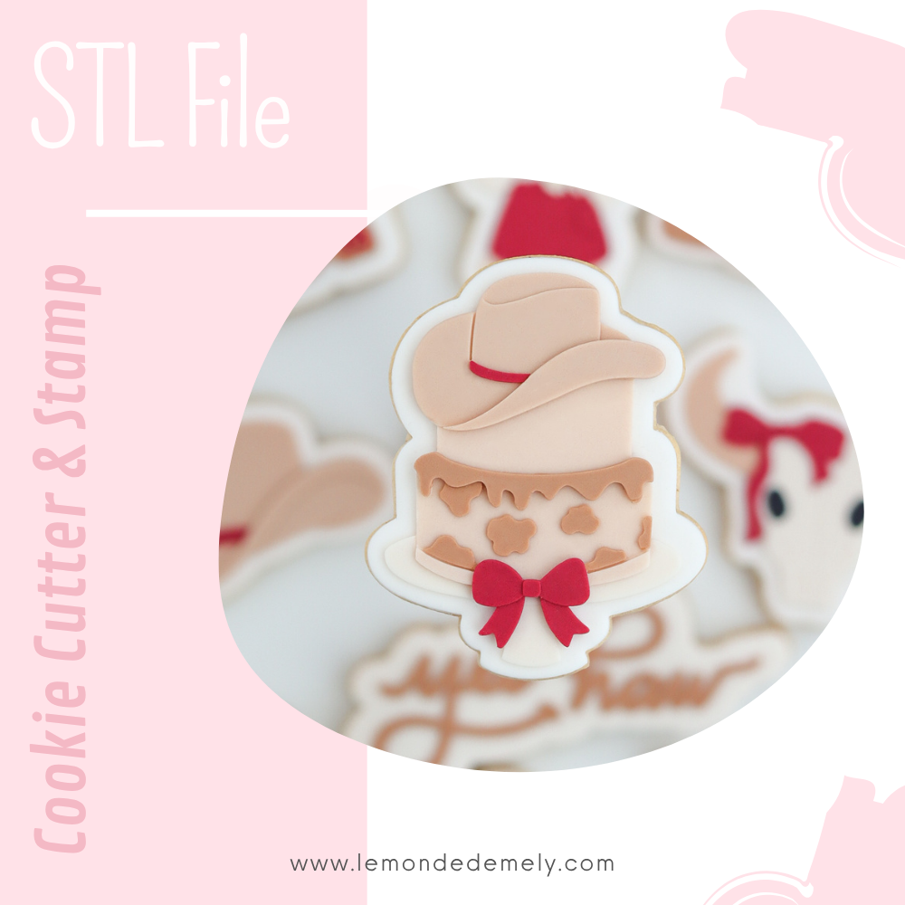 #729 - Rodeo Cake