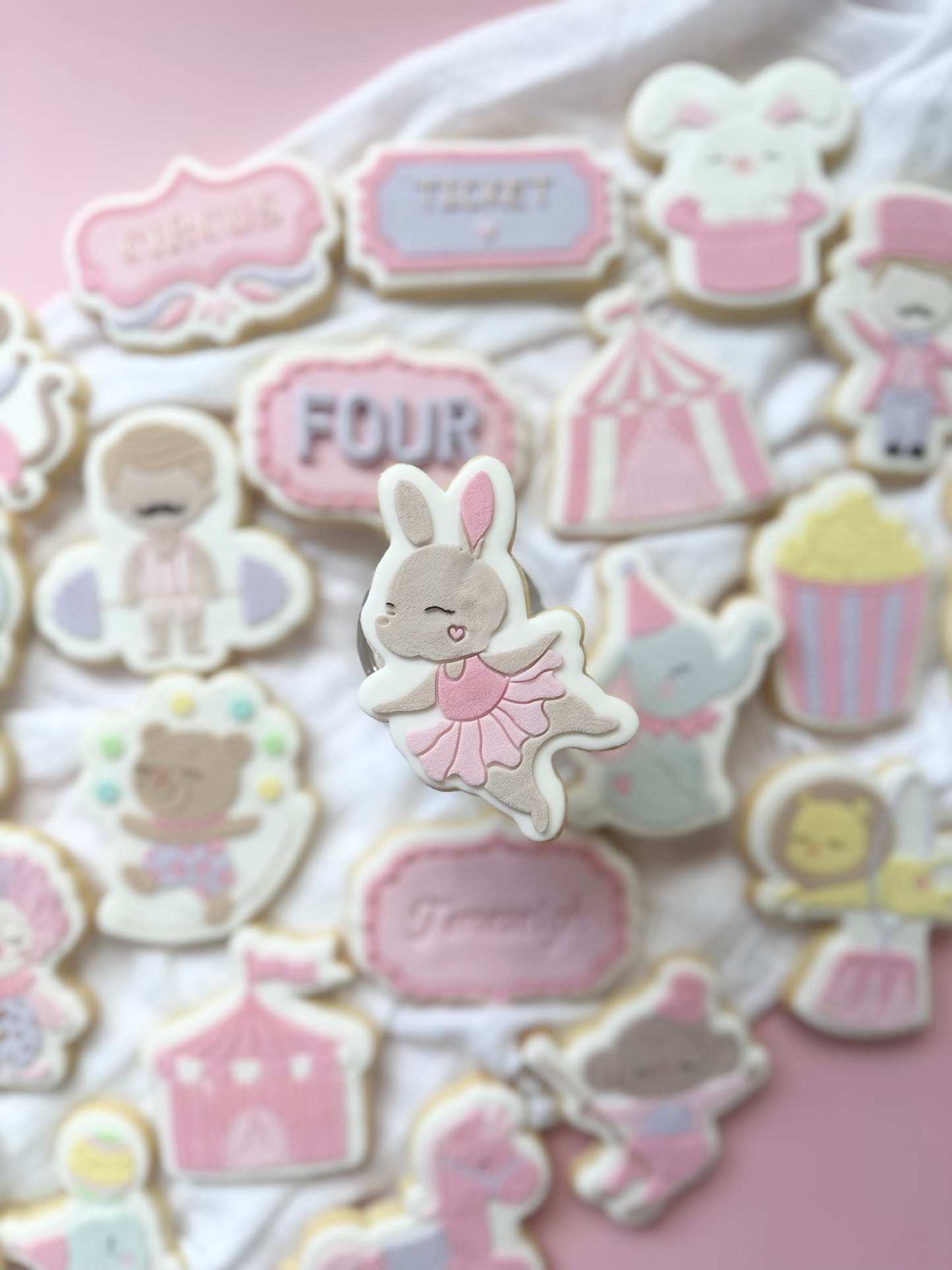 #17 - Ballerina Rabbit