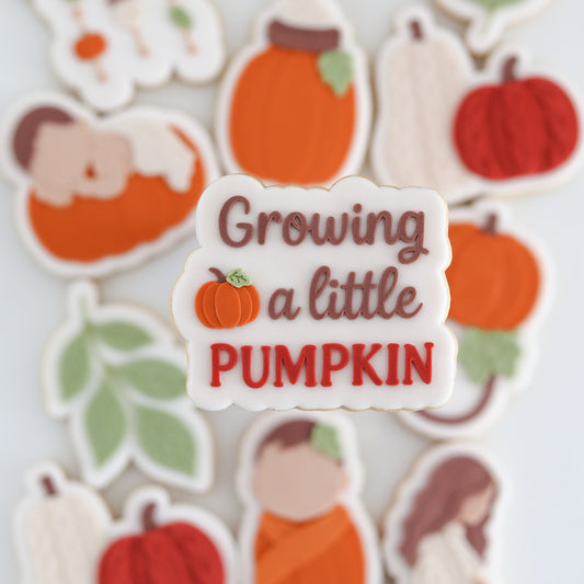 #09 - Growing a little Pumpkin