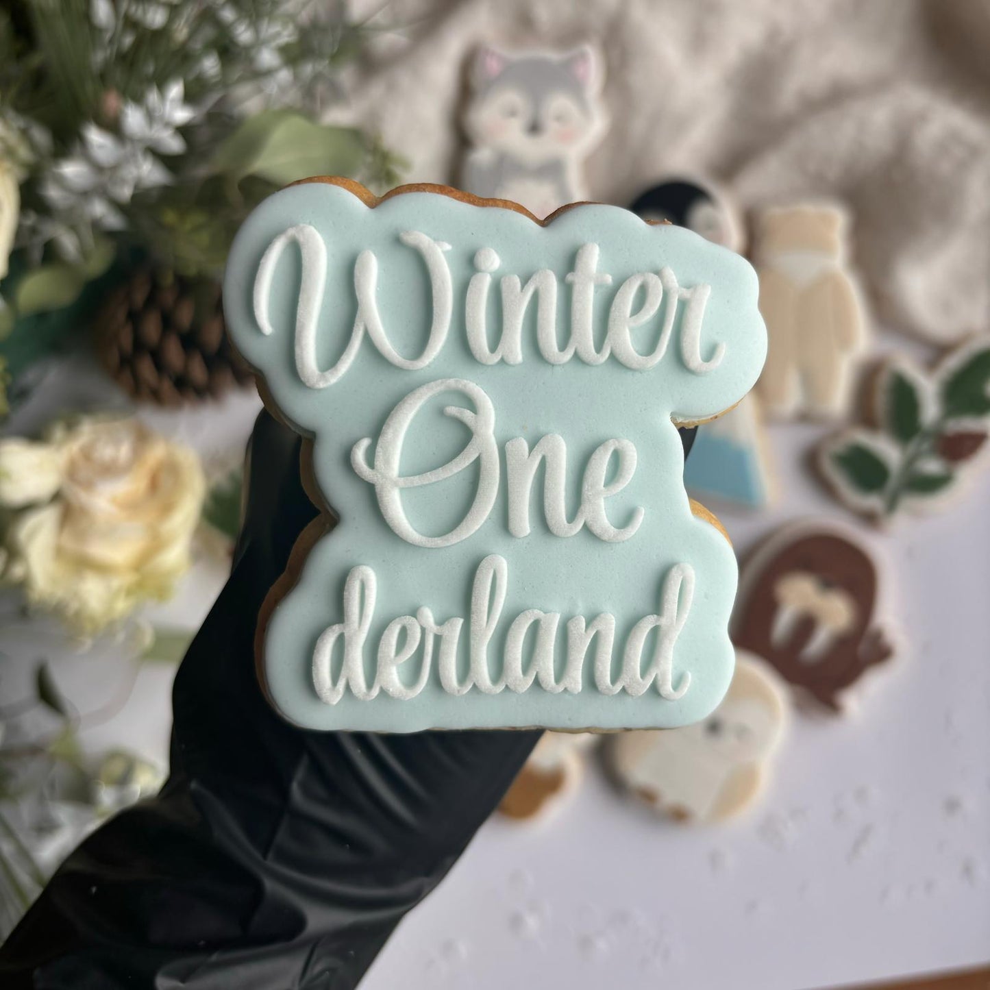 #18 - Winter One Derland