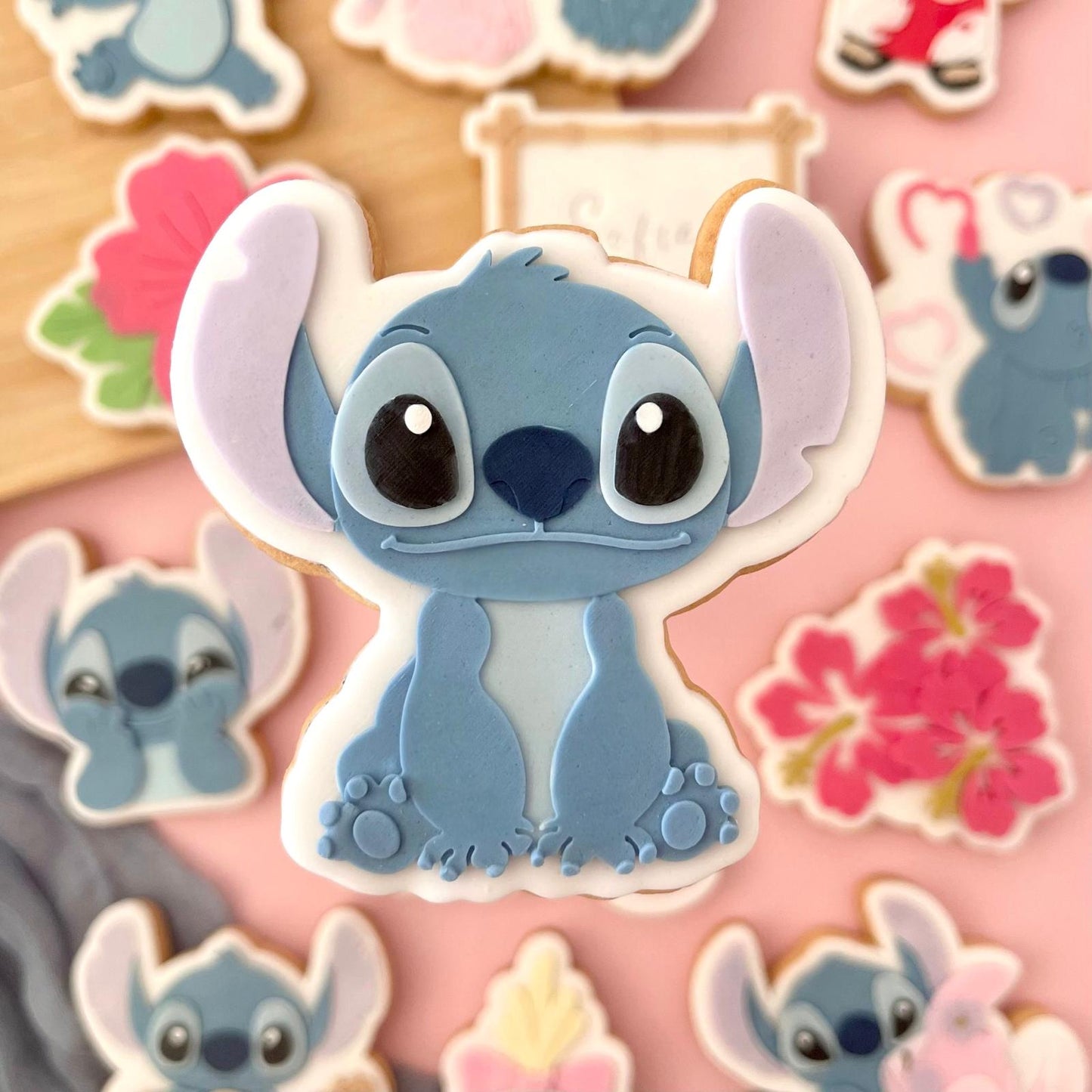 #25 - Stitch assis