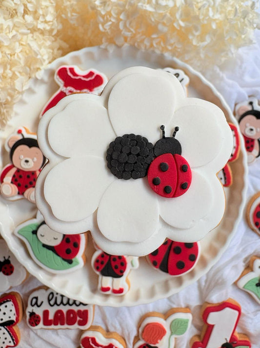 #07 - Coccinelle sur Fleur