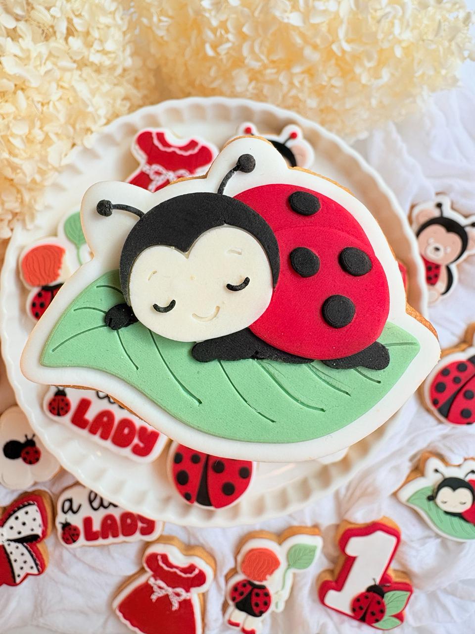 #08 - Coccinelle sur Feuille