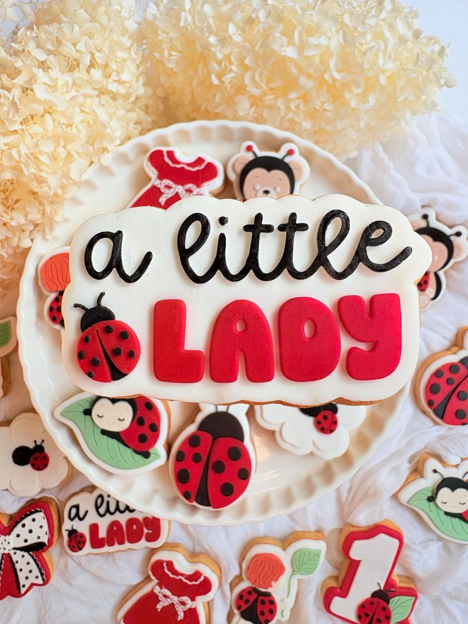 #05 - a Little Lady Bug