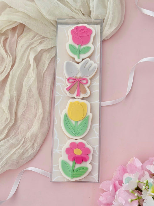 Boite Transparente 7x25cm