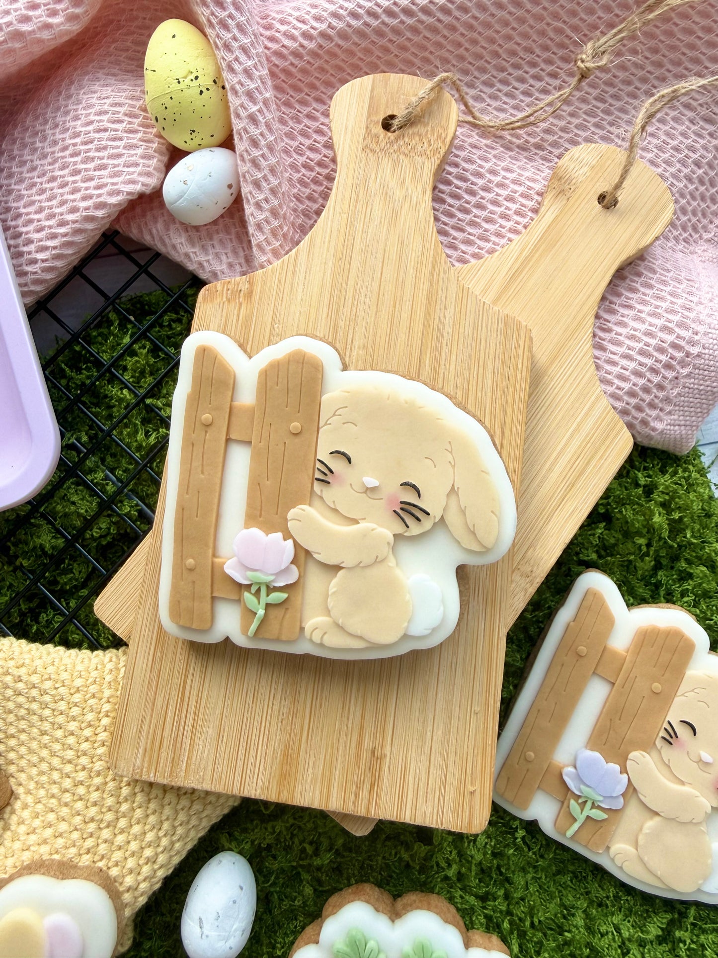 #095 - Rabbit with Fence