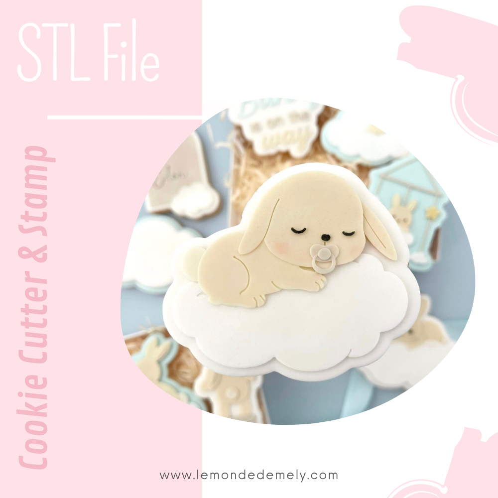 #518 - Bunny Sleeping on Cloud